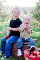 Campbell Family Apple Orchard