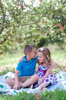 Rhodes Family Apple Orchard