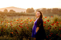 Abby Senior 2024
